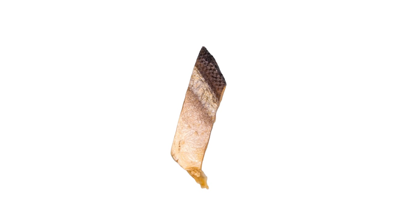 サンマ