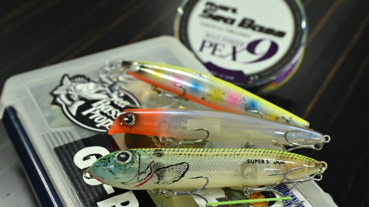 05_DSC_4402r (カスタム)