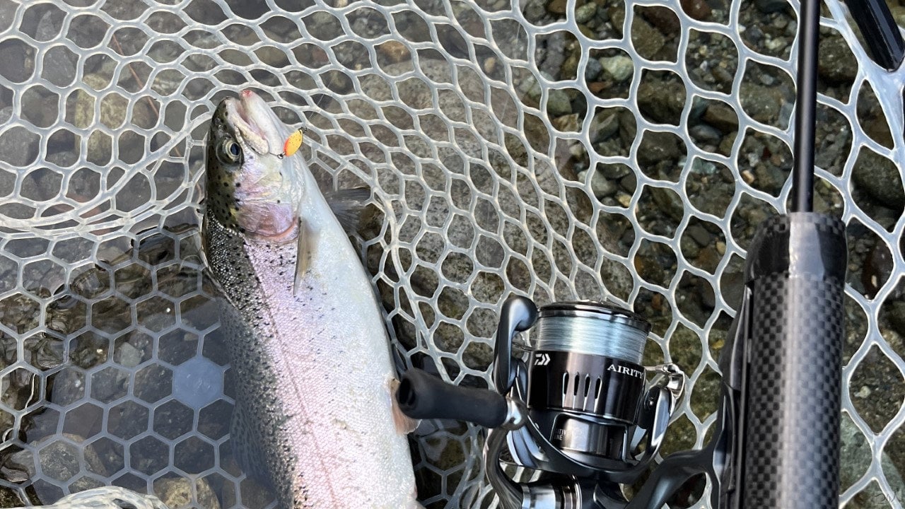 06 (カスタム)-Feb-16-2026-06-43-59-3811-AM