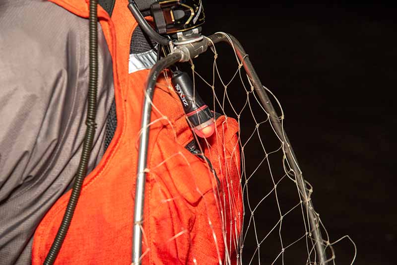 秋のシーバスウエーディング講座 | 魚種別釣りガイド 秋のシーバスウエーディング講座 | 魚種別釣りガイド