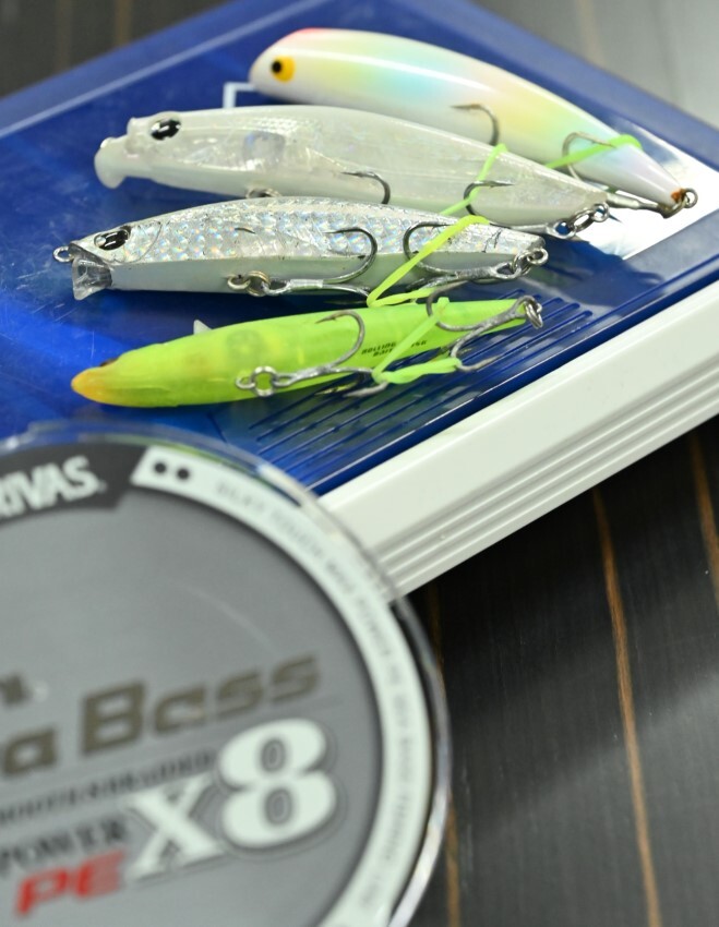 06_DSC_4388r (カスタム) (1)