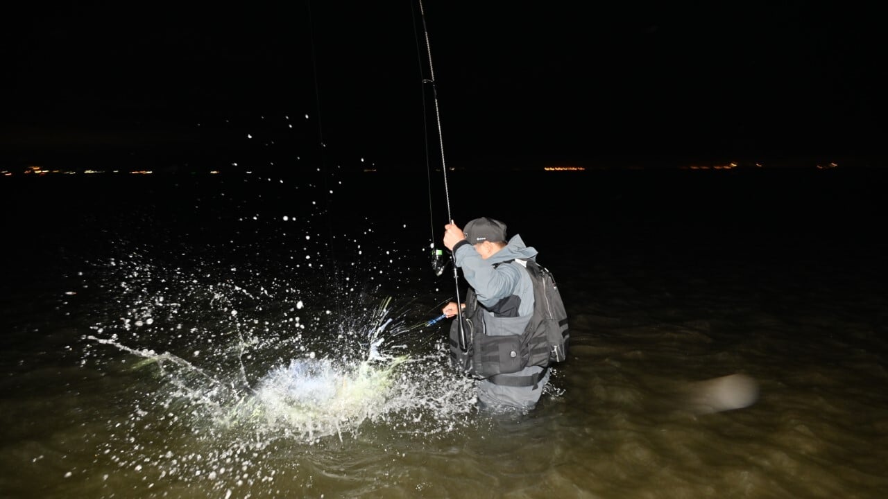 ウエーディングシーバスの風景