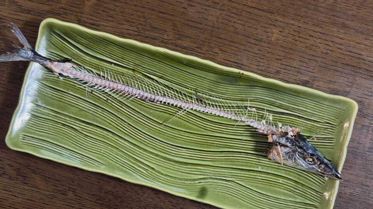 07 (カスタム)-Nov-25-2025-02-48-01-2646-AM