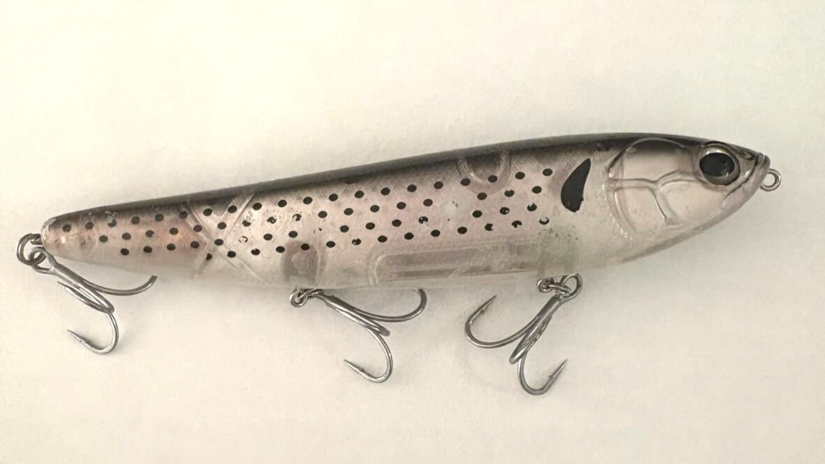 アマゾン（エバーグリーン）