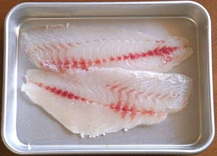 専門店 骨抜き器 魚 料理 業務用 魚の骨抜き 骨抜き達人III discoversvg.com