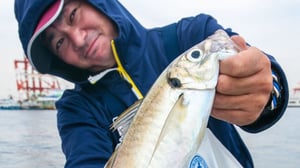 アジ料理専門店「釣りあじ食堂」店主が教える、アジの締め方と血抜き処理