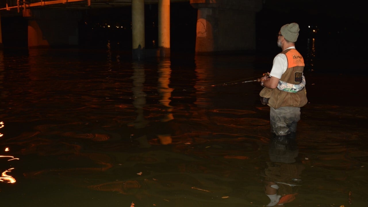 橋脚の明暗部を探る