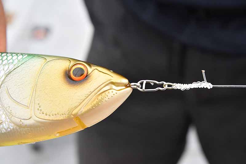 千葉県／木更津 ビッグベイト用パックロッドで楽しむシーバス