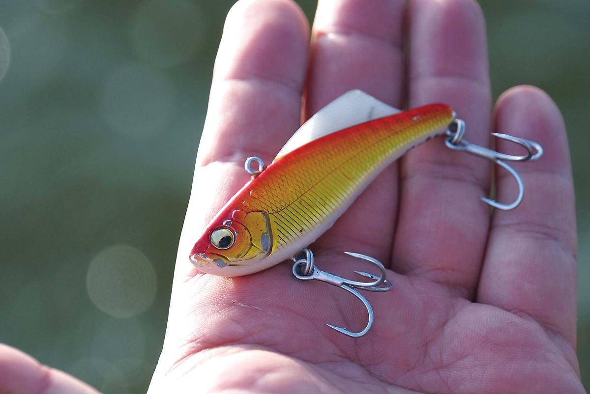 巻いて掛ける！ クロダイハードルアーのコツ 千葉県／木更津周辺の流入