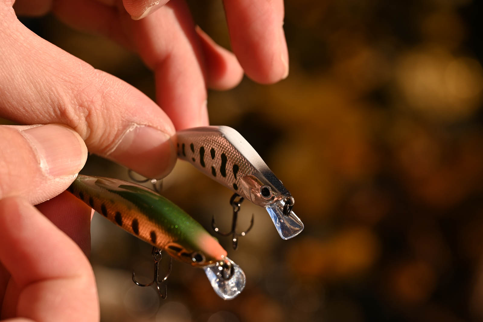 渓流ミノーの使い分け！水深・流れ・対象魚に合わせた選び方と釣り方の