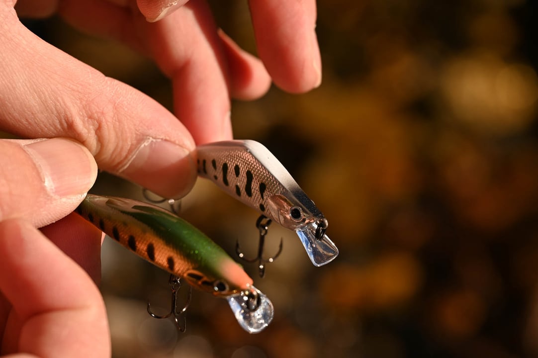 ミノーのボディー形状