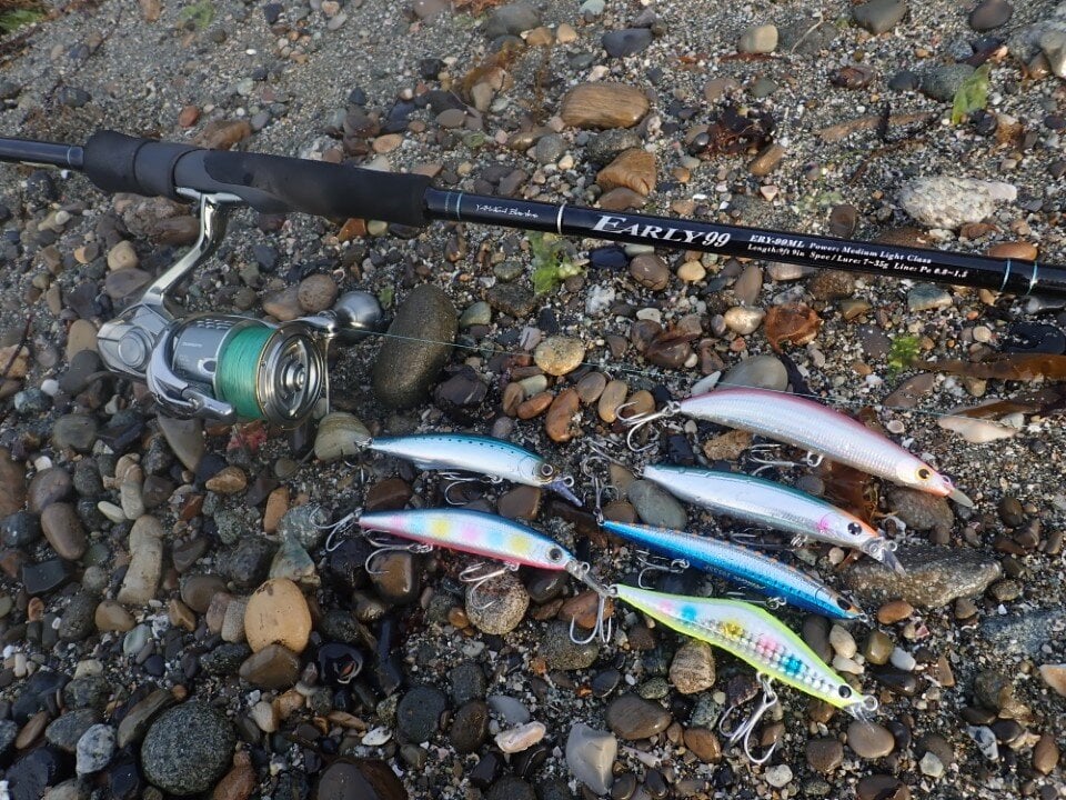 12cm前後のミノー
