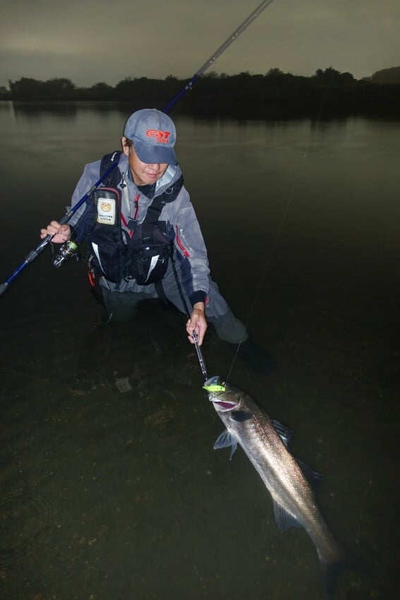 落ちアユパターンで釣れたシーバス