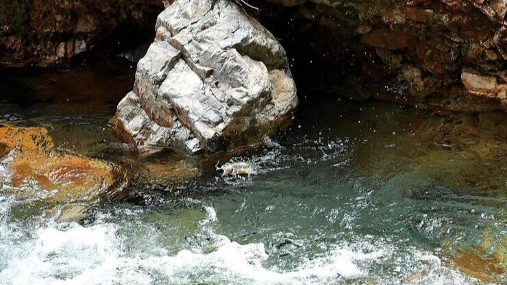 11-Apr-11-2022-06-47-59-23-AM-1