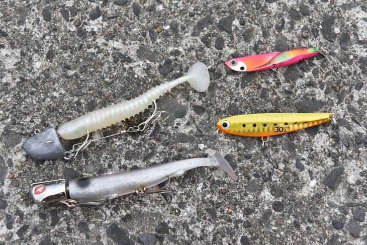 ルアーでねらうマゴチの釣り方 サーフや港でマゴチを釣る方法は 魚種別釣りガイド ルアーでねらうマゴチの釣り方 サーフや港でマゴチを釣る方法は 魚種別釣りガイド