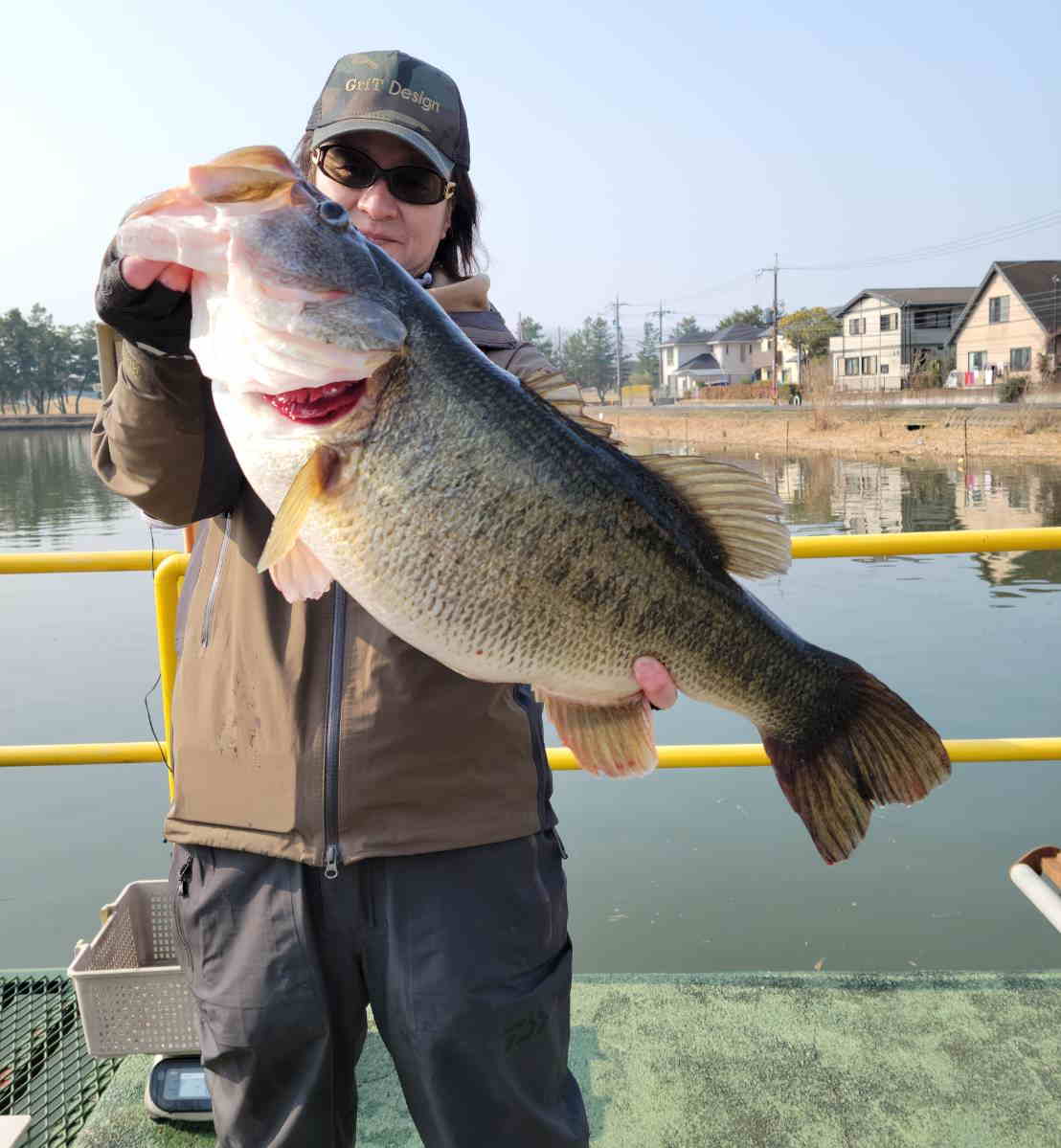 琵琶湖】ナナマルが出た！ スイムジグでキャッチされた南湖の6kg超 