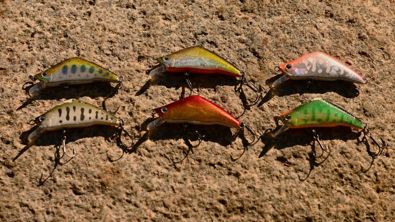 カラーローテーション