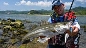 【北上川のシーバス】追波川と旧北上川を攻略。湾奥の名手が1匹にたどり着くまで