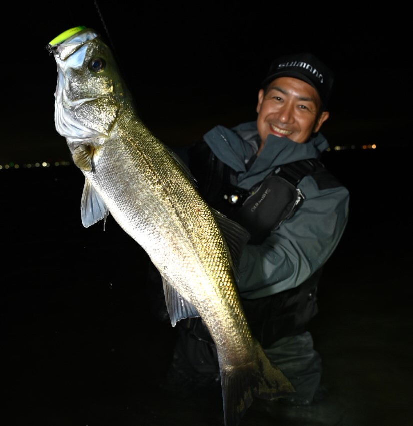 70cmオーバーのシーバス