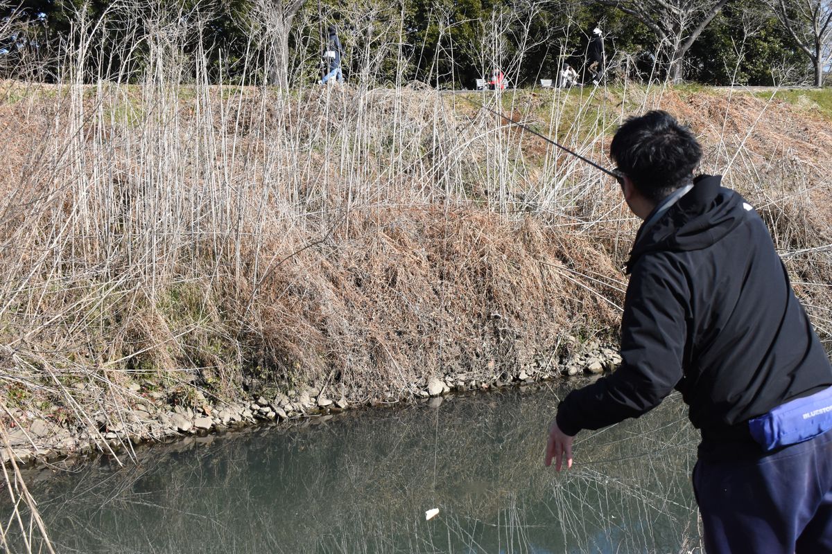 小規模河川で楽しむパンコイのススメ②：警戒心の高いコイを食わせる