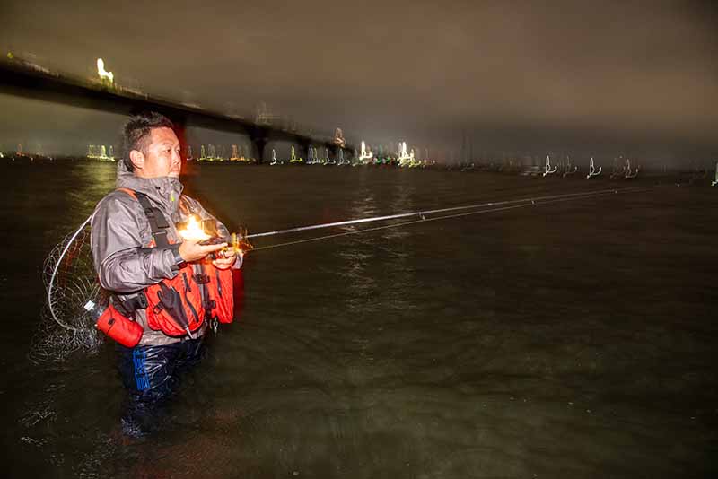 秋のシーバスウエーディング講座 | 魚種別釣りガイド