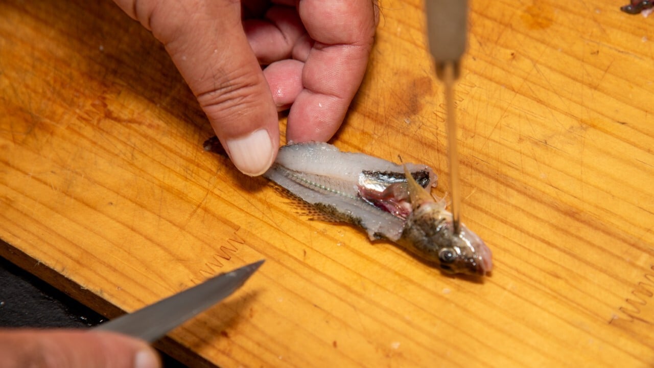 背開きにした状態。ここから三枚おろしにして皮を引けば刺身や糸造りにも応用できる。