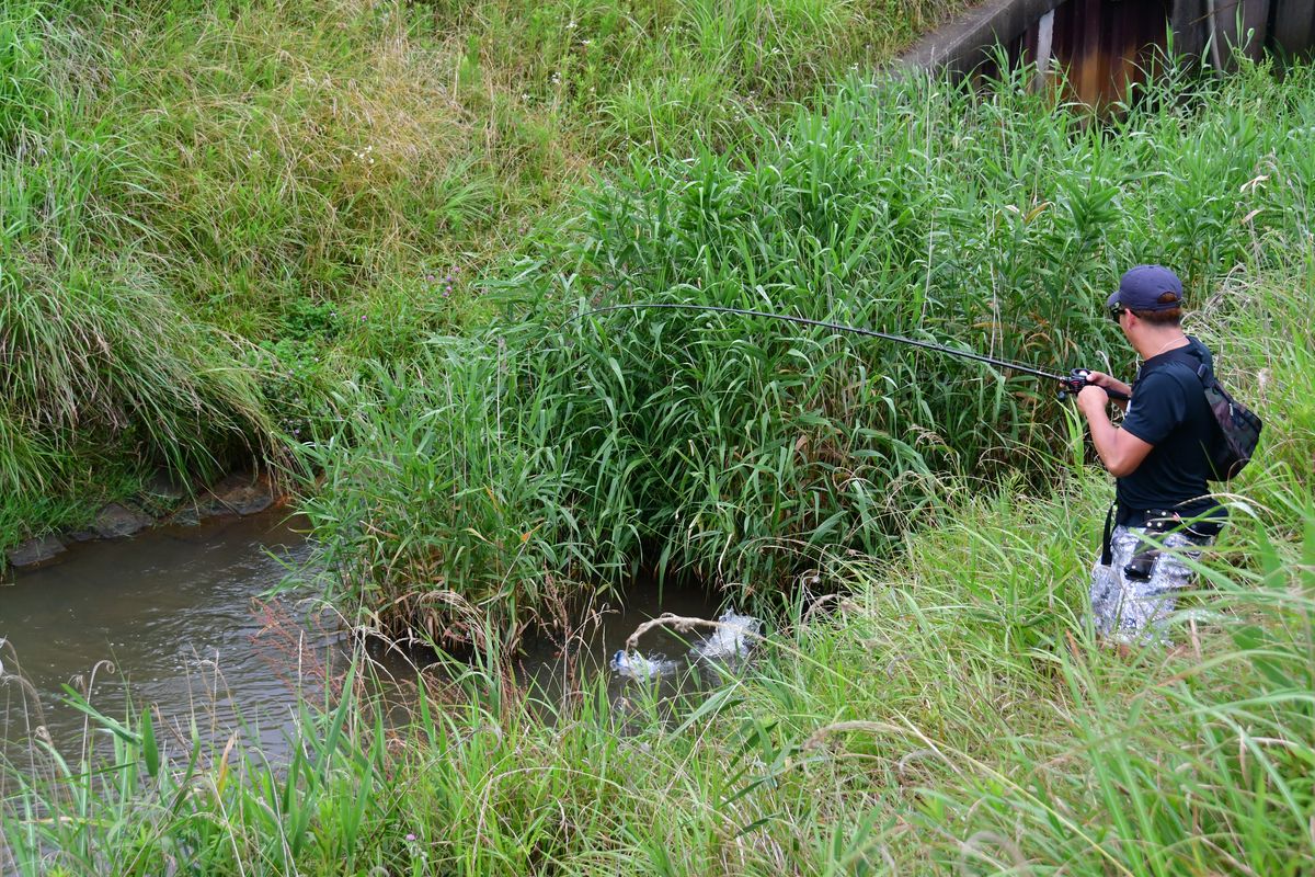 霞ヶ浦のオカッパリ・リアクションビッグベイトゲーム ~山本訓弘~その2