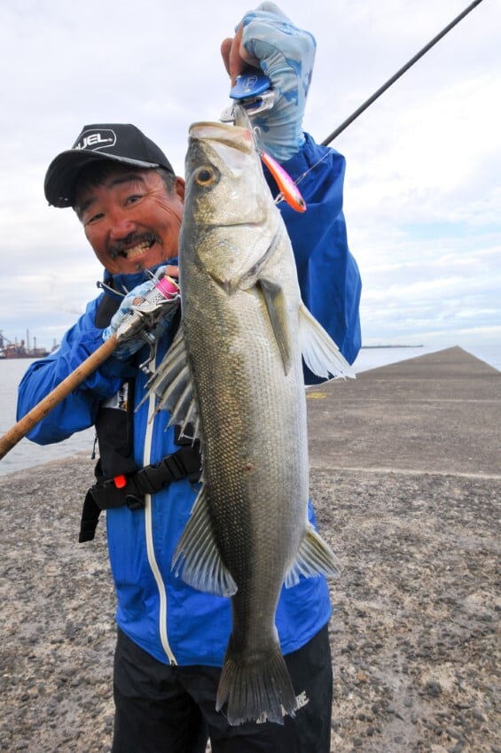 ハードコア ソリッドバイブで釣れたシーバス