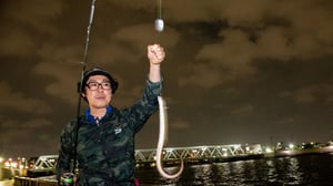 東京の川で釣って食べる天然ウナギ！鮮魚のプロもねらうほど美味【中川】