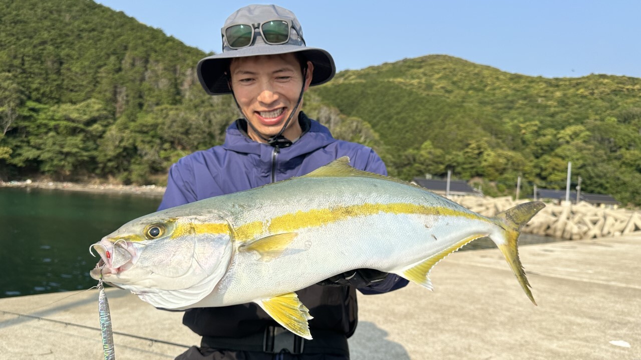 ヒラマサ