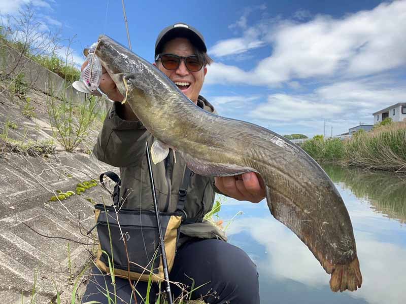 ナマズ釣りの始め方！効果的なルアーとポイント選びなどを解説 | 魚種別釣りガイド