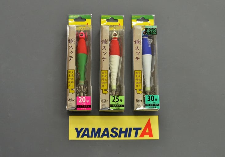 2020.7.25_yamashita_present