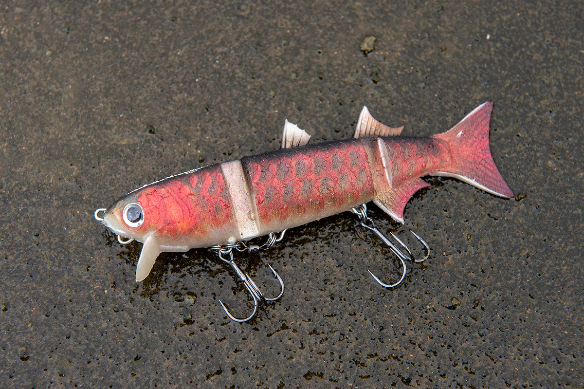 佐々木勝也／霞ヶ浦オカッパリにおけるビッグベイトの出し時を考える