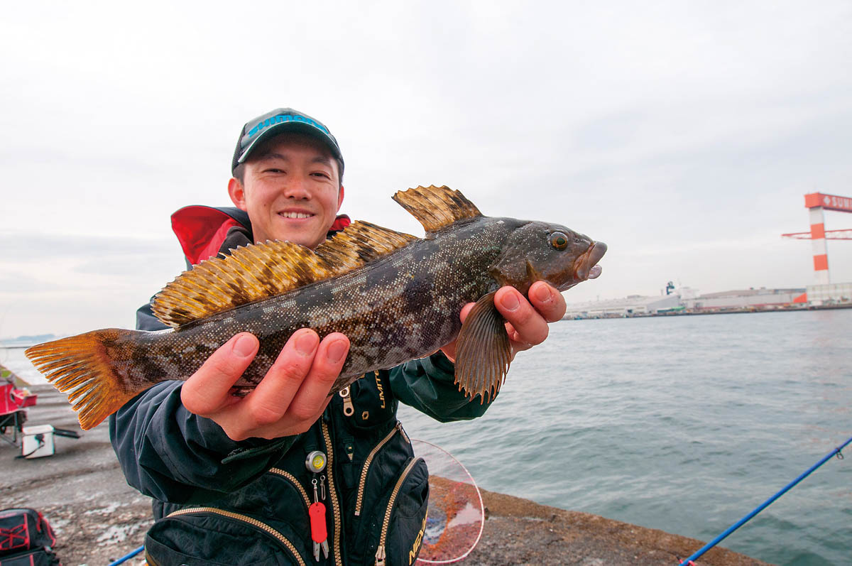 カレイ様確認用 マガレイ／口細ガレイ- Pseudopleuronectes herzensteini -の画像一覧