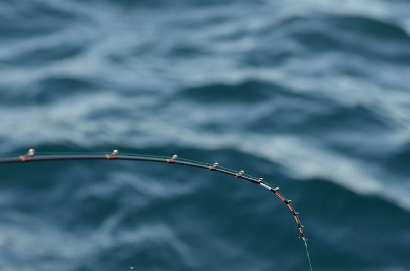 22年 カワハギロッドおすすめ選 シマノ ダイワなど 魚種別釣りガイド