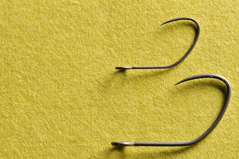 エリアトラウトで釣果を伸ばすためのフックの選び方 | つり人オンライン