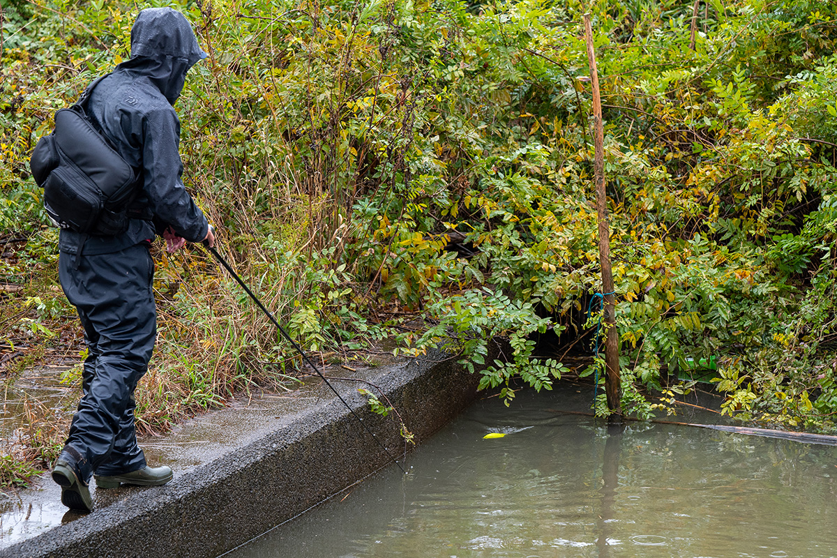 佐々木勝也／霞ヶ浦オカッパリにおけるビッグベイトの出し時を考える