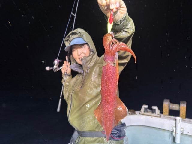 ケンサキイカ