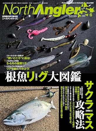 ロックフィッシュ】テキサスリグの使い方 | undefined
