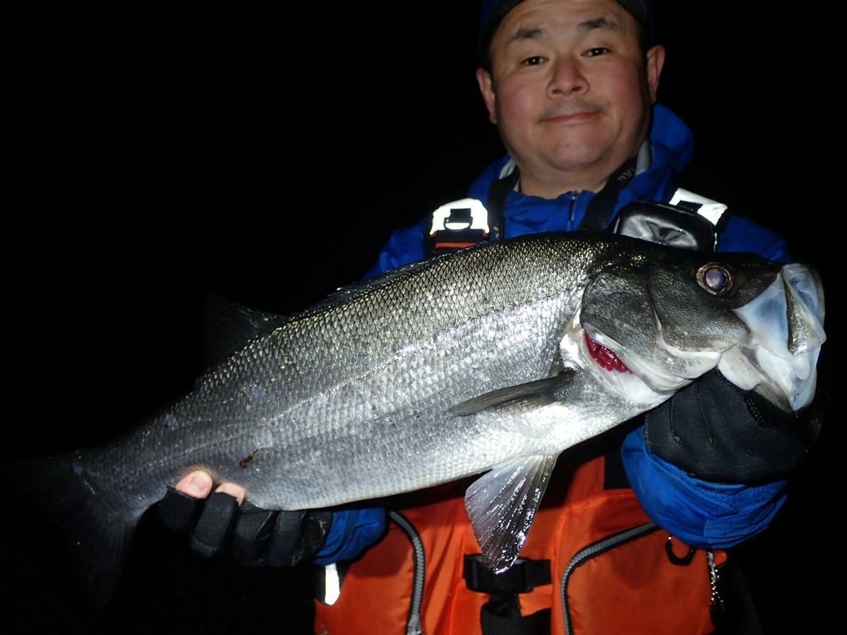 ルアーシーバスの基本：磯でねらうヒラスズキ | 魚種別釣りガイド