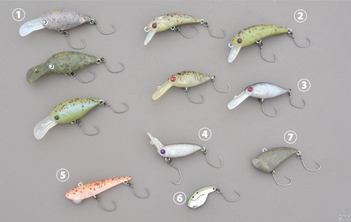 AreaTrout-narayamanuma (10)