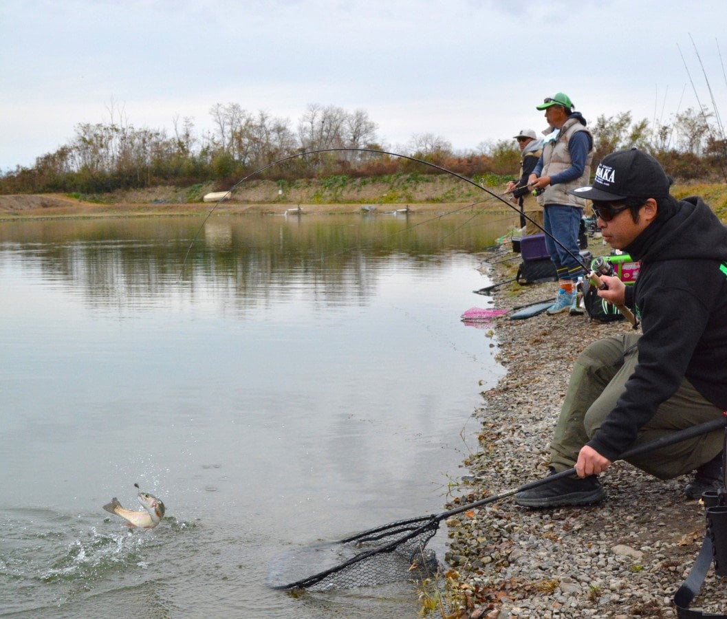 AreaTrout-narayamanuma (5)