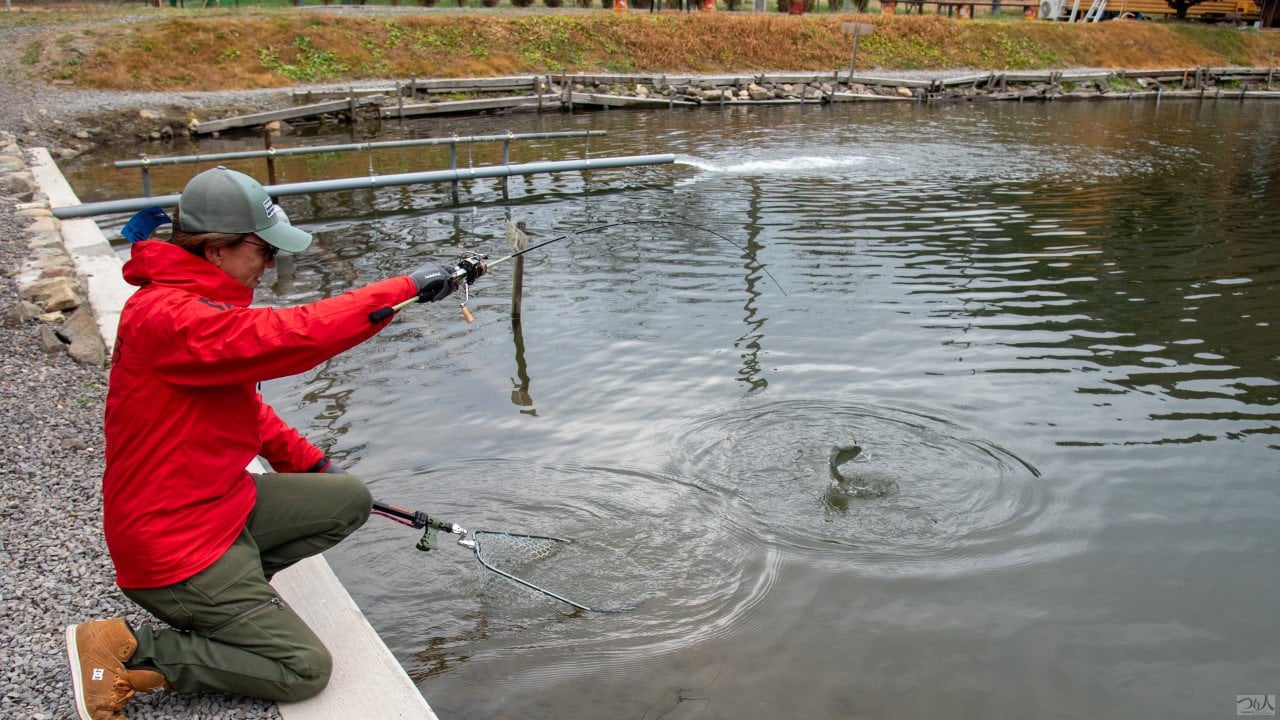 AreaTrout-yamaga (12)