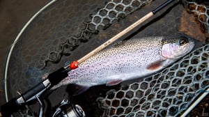 質実剛健。ヤマガブランクスが放つ「ルーパス・エリアトラウト」の実釣性能