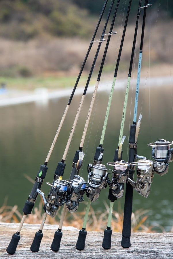 Lupus for Area Trout