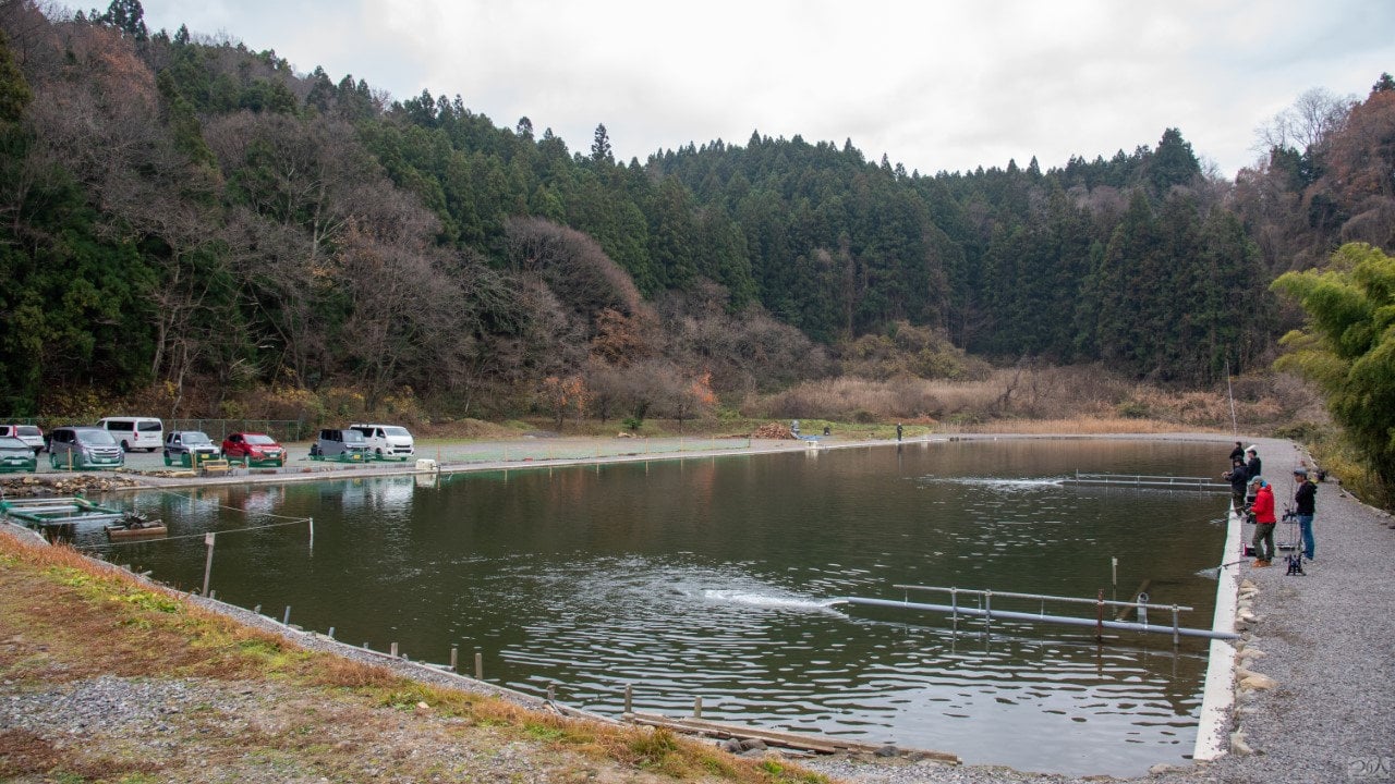 AreaTrout-yamaga (2)