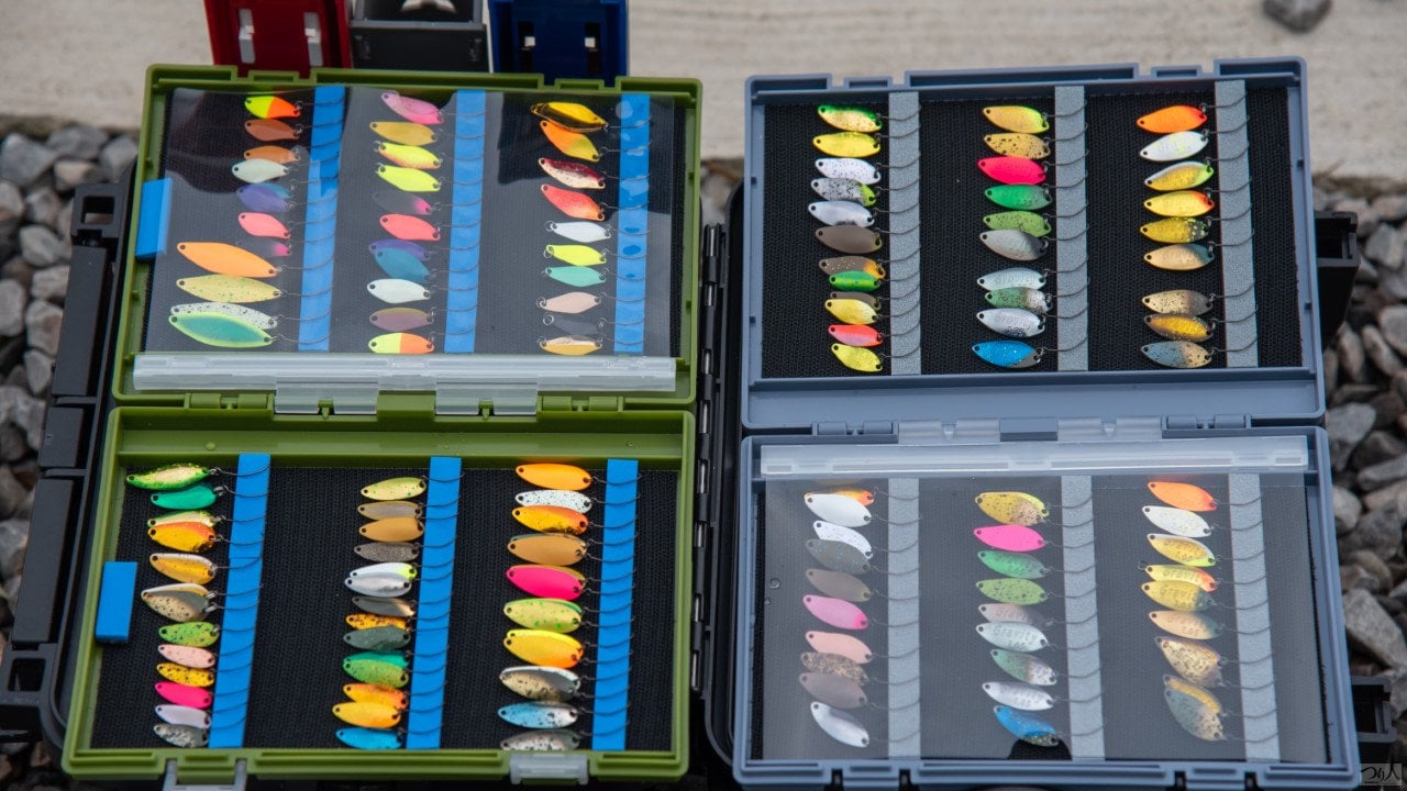 AreaTrout-yamaga (5)