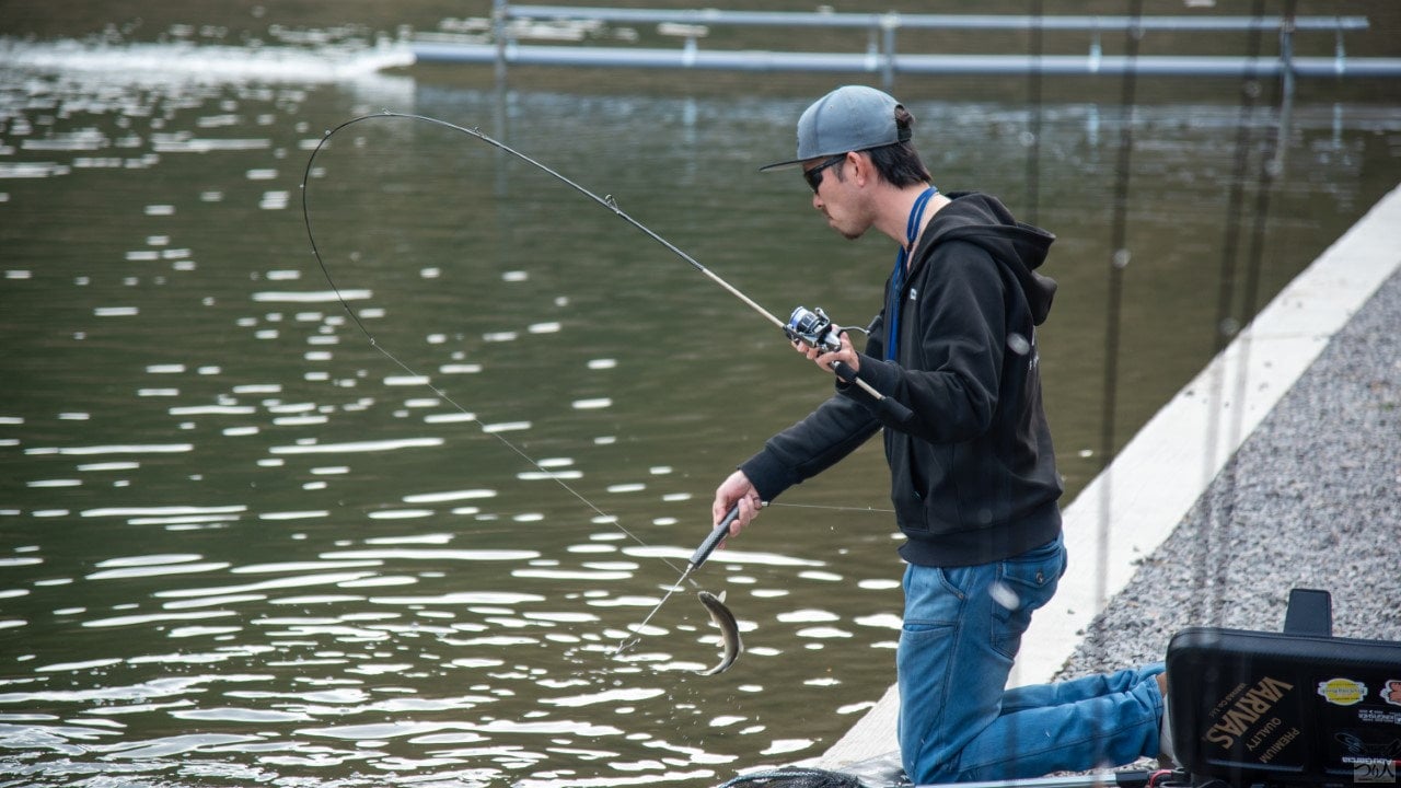 AreaTrout-yamaga (9)