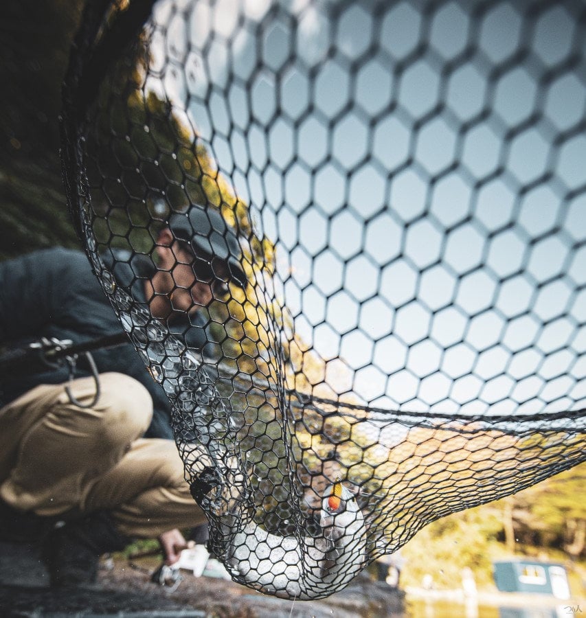 AreaTroutSearch (12)