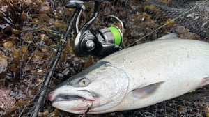 セルテートHDで挑む北の大物！サクラマスで検証した操作感と剛性